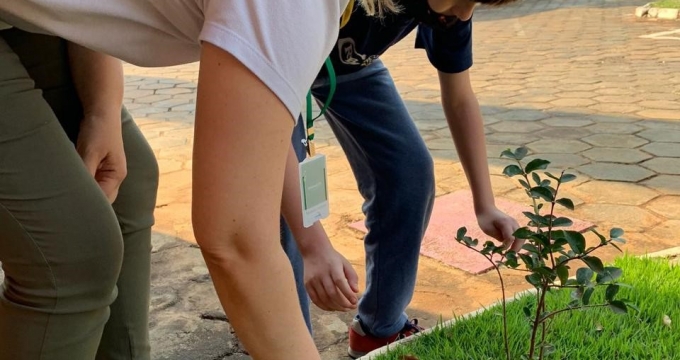 Notícia